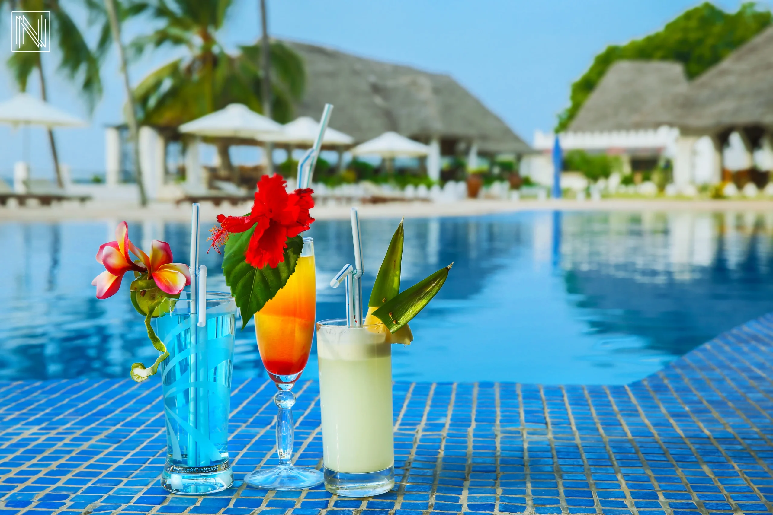 Zanzibar safari preview